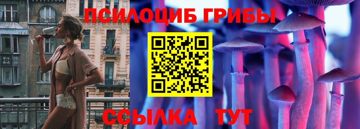 Оренбург  Галлюциногенные грибы мухоморы  Вход с VPN 